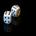 Tips voor een vakantie naar Bonaire, kies voor een hotel met casino!